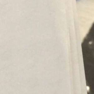 Meet your Posher, Ronald